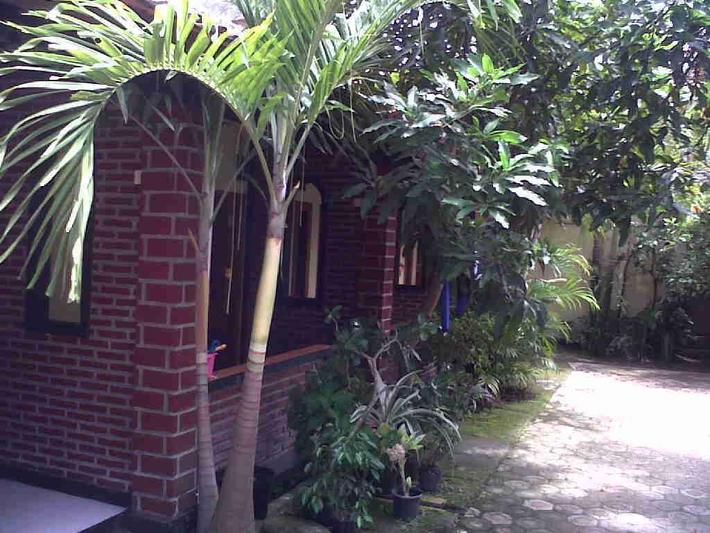 Rinjani Homestay Пангандаран Экстерьер фото
