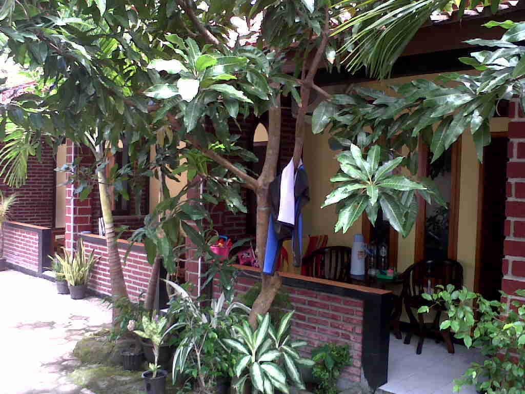 Rinjani Homestay Пангандаран Экстерьер фото